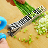Multi-functional Stainless Steel 5 Layers Herb Scissor