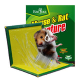 Mouse Trap, Mouse Glue Trap