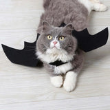 Halloween Bat Wing Pet Clothes