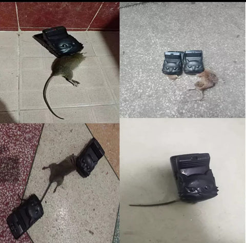 Mouse trap – plastic  Papírna Moudrý, s.r.o.