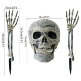 Halloween Skeleton Skull Prop